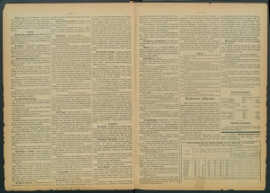 gazeta radomska-1885-28-00002